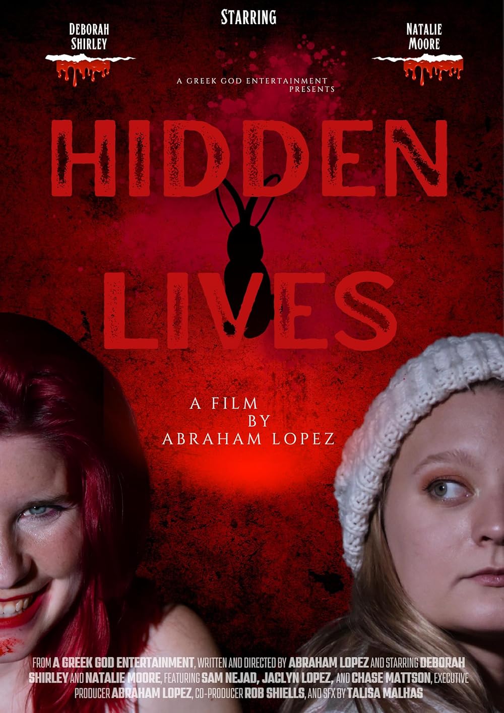 Hidden Lives poster